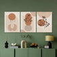 3pcs Botanical Line Art & Geometric Designs Metal Print Ready to Hang Art