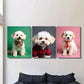 3pcs Chic & Stylish Dog Portraits Metal Print Ready to Hang Art