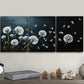 3pcs Dandelion Beauty White Nature Perfect Wall Art Set Canvas Framed 40x60cm - High Quality Print 100% Australian Made Wall Canvas Ready to Hang