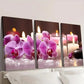 3pcs Orchid Scented Candle Decoration Wall Art Set Canvas Framed 40x60cm - High Quality Print 100% Australian Made Wall Canvas Ready to Hang
