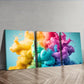 3pcs Color in the Painting Beautiful Different Wall Art Set Canvas Framed 40x60cm - High Quality Print 100% Australian Made Wall Canvas Ready to Hang