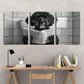 3pcs Whimsical Bernedoodle Dog Reading Newspaper Metal Print Ready to Hang Art