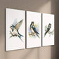 3pcs Bird Illustration on Tree Branch Wall Art Set Canvas Framed 40x60cm - High Quality Print 100% Australian Made Wall Canvas Ready to Hang