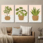 3pcs Potted Plants Illustration Wall Art Set Canvas Framed 40x60cm - High Quality Print 100% Australian Made Wall Canvas Ready to Hang