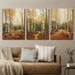 3pcs Autumnal Birch Trees & Fall Foliage Wall Art Set Canvas Framed 40x60cm - High Quality Print 100% Australian Made Wall Canvas Ready to Hang