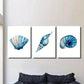 3pcs Seashell Conch Snail Shell Marine Life Wall Art Set Canvas Framed 40x60cm - High Quality Print 100% Australian Made Wall Canvas Ready to Hang