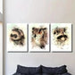 3pcs Watercolor Ferret Raccoon Owl Portrait Wall Art Set Canvas Framed 40x60cm - High Quality Print 100% Australian Made Wall Canvas Ready to Hang