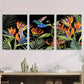 3pcs Tropical Hummingbird and Strelitzia Birds Metal Print Ready to Hang Art