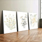 3pcs Flowers Green Leaves Wild Plants YellowWall Art Set Canvas Framed 40x60cm - High Quality Print 100% Australian Made Wall Canvas Ready to Hang