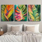 3pcs Colorful Monstera & Palm Leaf Designs Wall Art Set Canvas Framed 40x60cm - High Quality Print 100% Australian Made Wall Canvas Ready to Hang