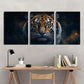 3pcs Vibrant White Tiger Animal Metal Print Ready to Hang Art
