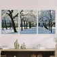 3pcs Winter Snowy Forest Tranquil Nature Metal Print Ready to Hang Art