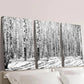3pcs Black and White Birch Winter Forest Wall Art Set Canvas Framed 40x60cm - High Quality Print 100% Australian Made Wall Canvas Ready to Hang