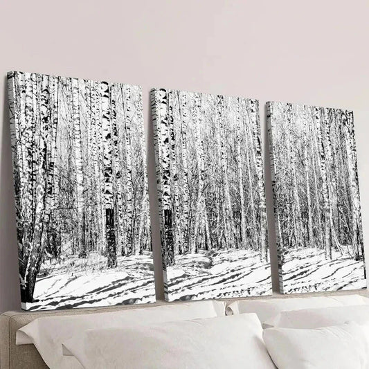 3pcs Black and White Birch Winter Forest Wall Art Set Canvas Framed 40x60cm - High Quality Print 100% Australian Made Wall Canvas Ready to Hang