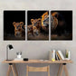 3pcs Majestic Lion Family Portrait Decor Wall Art Set Canvas Framed 40x60cm - High Quality Print 100% Australian Made Wall Canvas Ready to Hang
