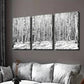 3pcs Black and White Birch Winter Forest Wall Art Set Canvas Framed 40x60cm - High Quality Print 100% Australian Made Wall Canvas Ready to Hang