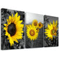 3pcs  Modern Sunflower Botany Decorative Wall Art Set Canvas Framed 40x60cm - High Quality Print 100% Australian Made Wall Canvas Ready to Hang