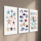 3pcs Starfish Shells And Tropical Fish Wall Art Set Canvas Framed 40x60cm - High Quality Print 100% Australian Made Wall Canvas Ready to Hang