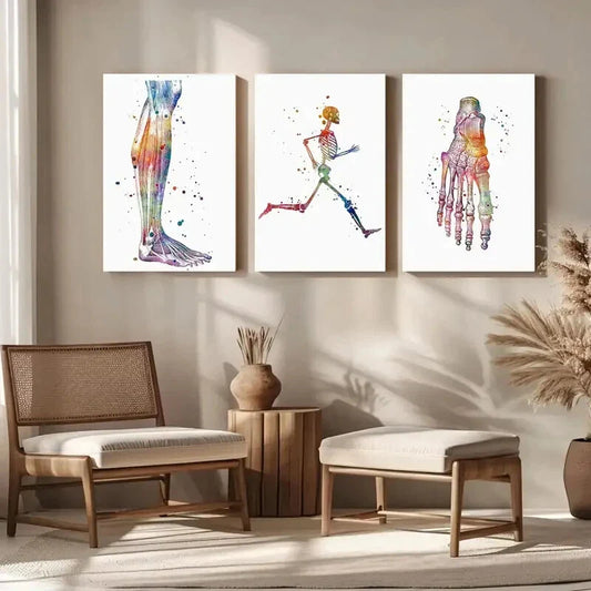 3pcs Watercolor Anatomy Vibrant Human Muscle Metal Print Ready to Hang Art