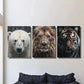 3pcs Polar Bear Lion & Tiger in Rainy Weather Wall Art Set Canvas Framed 40x60cm - High Quality Print 100% Australian Made Wall Canvas Ready to Hang