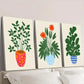 3pcs Tropical Plant Illustrations in Pots Wall Art Set Canvas Framed 40x60cm - High Quality Print 100% Australian Made Wall Canvas Ready to Hang