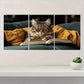 3pcs Playful Reading Cat Design Metal Print Ready to Hang Art