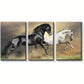 3pcs Beautiful White & Black Horse Metal Print Ready to Hang Art