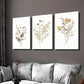 3pcs Rustic Wildflower in Golden & Black Wall Art Set Canvas Framed 40x60cm - High Quality Print 100% Australian Made Wall Canvas Ready to Hang