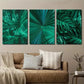 3pcs Tropical Banana Palm & Monstera Leaves Wall Art Set Canvas Framed 40x60cm - High Quality Print 100% Australian Made Wall Canvas Ready to Hang