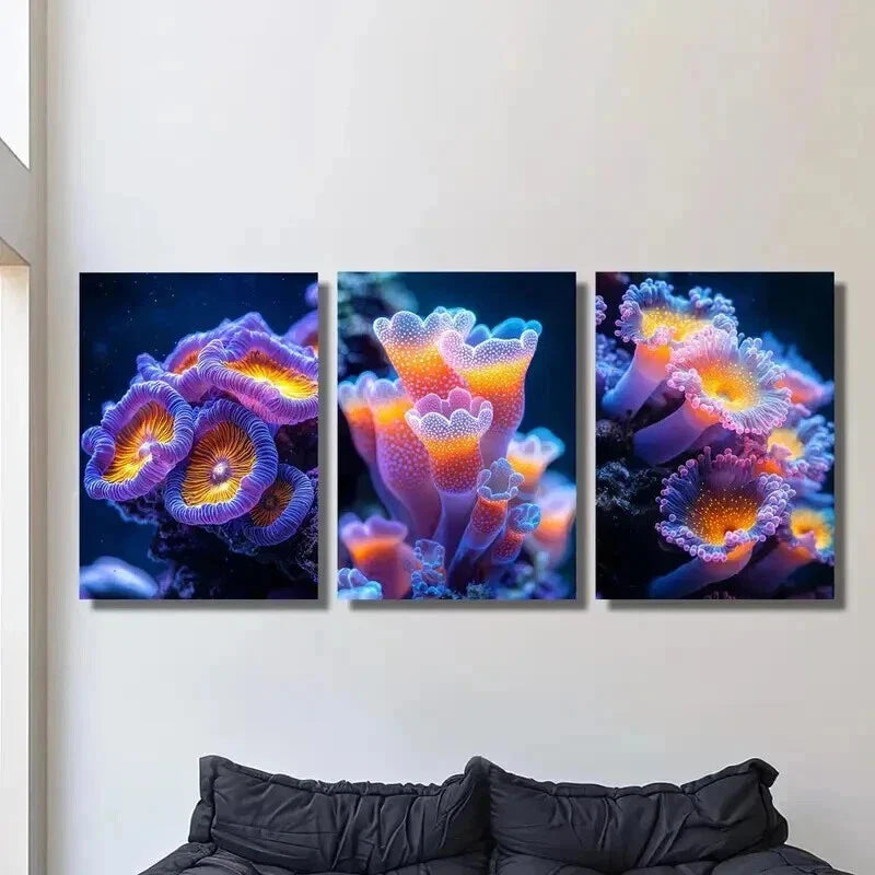 3pcs Colorful Sea Anemones Sea Plant Wall Art Set Canvas Framed 40x60cm - High Quality Print 100% Australian Made Wall Canvas Ready to Hang