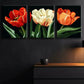 3pcs Three Tulips Red Orange Floral Perfect Wall Art Set Canvas Framed 40x60cm - High Quality Print 100% Australian Made Wall Canvas Ready to Hang