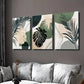 3pcs Boho Green Beige Gray Plant Wall Art Set Canvas Framed 40x60cm - High Quality Print 100% Australian Made Wall Canvas Ready to Hang
