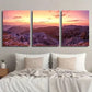 3pcs Krippenstein Sunrise Mountain Landscape Wall Art Set Canvas Framed 40x60cm - High Quality Print 100% Australian Made Wall Canvas Ready to Hang