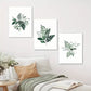 3pcs Elegant Foliage Watercolor Green Leaf Wall Art Set Canvas Framed 40x60cm - High Quality Print 100% Australian Made Wall Canvas Ready to Hang