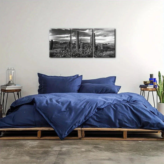 3pcs Black and White National Park Desert Cactus Metal Print Ready to Hang Art