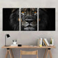 3pcs African Lion Black and White Metal Print Ready to Hang Art