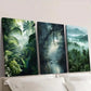 3pcs Natural Tropical Forest Decoration Wall Art Set Canvas Framed 40x60cm - High Quality Print 100% Australian Made Wall Canvas Ready to Hang