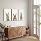 3pcs Modern & Classic Set of Rabbit Tail Wall Art Set Canvas Framed 40x60cm - High Quality Print 100% Australian Made Wall Canvas Ready to Hang