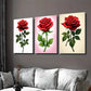 3pcs Elegant Red Rose Triptych Classic & Glam Wall Art Set Canvas Framed 40x60cm - High Quality Print 100% Australian Made Wall Canvas Ready to Hang