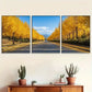 3pcs Golden Autumn Avenue Triptych Wall Art Set Canvas Framed 40x60cm - High Quality Print 100% Australian Made Wall Canvas Ready to Hang