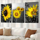 3pcs  Modern Sunflower Botany Decorative Wall Art Set Canvas Framed 40x60cm - High Quality Print 100% Australian Made Wall Canvas Ready to Hang