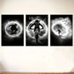 3pcs Dynamic Skateboard & Bicycle Riding Black Metal Print Ready to Hang Art