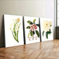 3pcs White Red Florals Green Leaves Rose Yellow Wall Art Set Canvas Framed 40x60cm - High Quality Print 100% Australian Made Wall Canvas Ready to Hang