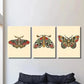 3pcs Retro Colorful Death Head Moth Skull Wall Art Set Canvas Framed 40x60cm - High Quality Print 100% Australian Made Wall Canvas Ready to Hang
