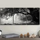 3pcs Dark Chic Angel Oaks Darkness Design Wall Art Set Canvas Framed 40x60cm - High Quality Print 100% Australian Made Wall Canvas Ready to Hang