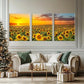 3pcs Golden Sunset Fields with Sunflower Wall Art Set Canvas Framed 40x60cm - High Quality Print 100% Australian Made Wall Canvas Ready to Hang