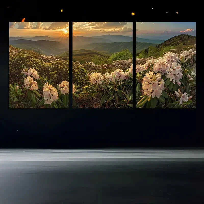 3pcs Blooming Flowers Sunrise Mountain Metal Print Ready to Hang Art