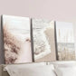 3pcs Sand Dunes Ocean Waves and Golden Grass Wall Art Set Canvas Framed 40x60cm - High Quality Print 100% Australian Made Wall Canvas Ready to Hang