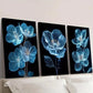 3pcs Bright Blue Flower on Dark Background Wall Art Set Canvas Framed 40x60cm - High Quality Print 100% Australian Made Wall Canvas Ready to Hang