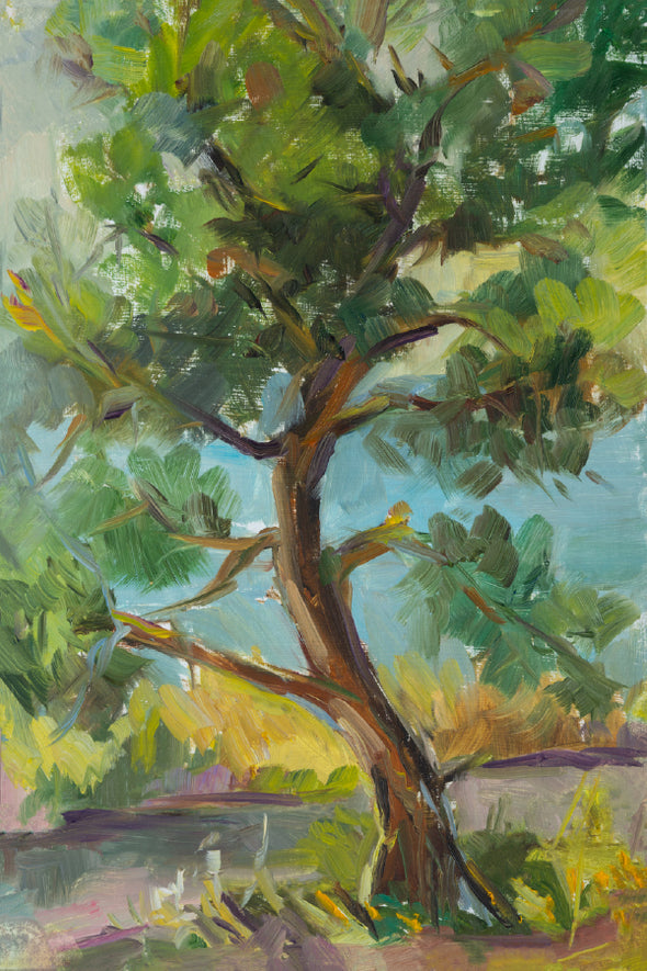 Green Tree in Forest Oil Painting Print 100% Australian Made Stretched Canvas Ready to Hang - 1780